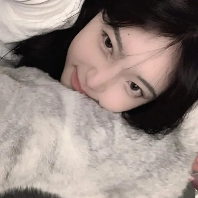 猪猪侠·一只老猪的逆袭